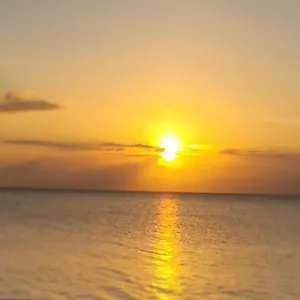 Aparthotel Airport, Montego Bay