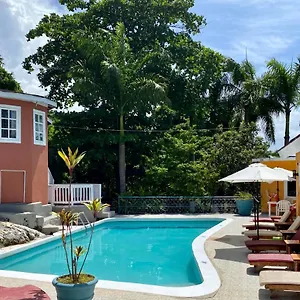 Frühstückspension The Blue Orchid, Montego Bay